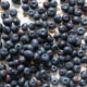 Table of Blueberries