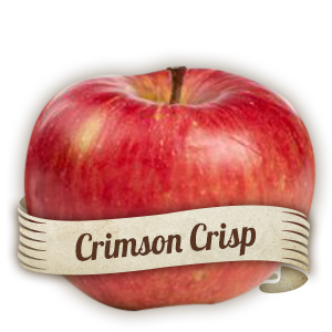 Crimson Crisp