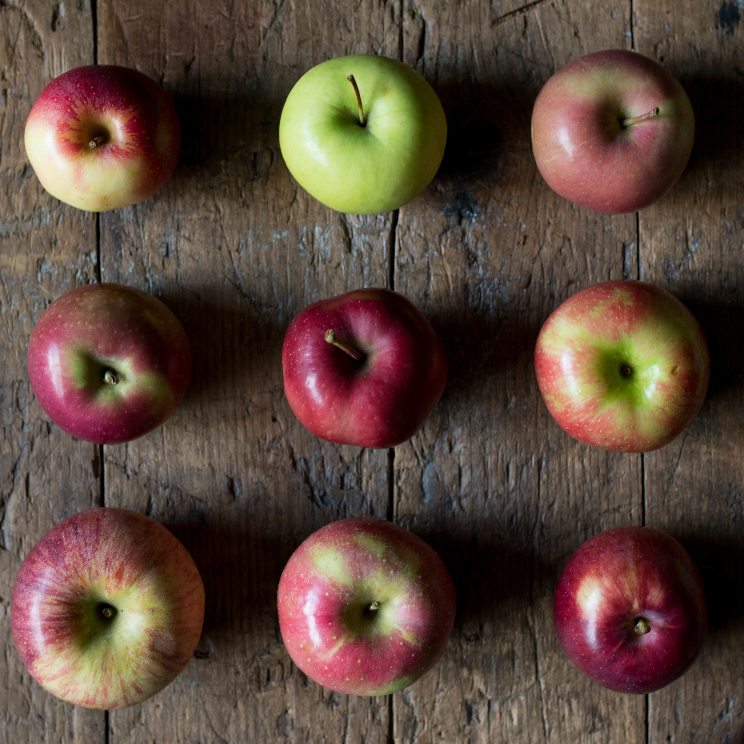 Learn About Gala and McIntosh Apples On The Farm